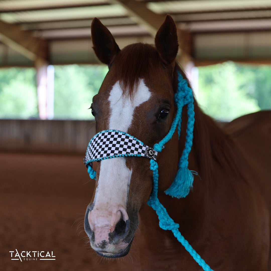 FINISH LINE & TURQUOISE MULE TAPE HALTER
