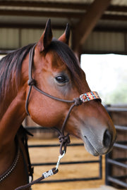 ATOKA DESIGN WITH CONCHOS ROPE HALTER