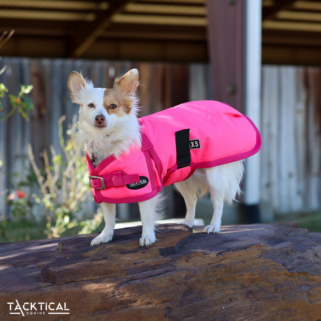 HOT PINK DOG BLANKET