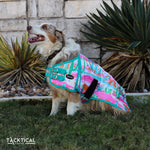 Load image into Gallery viewer, NEON CACTUS DOG BLANKET
