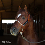 Load image into Gallery viewer, LUXE LARIAT HALTER - BLACK
