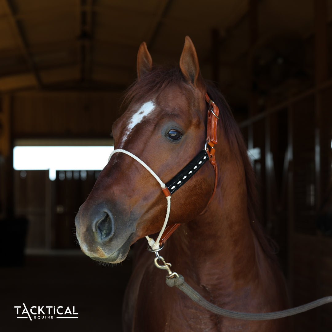 LUXE LARIAT HALTER - BLACK