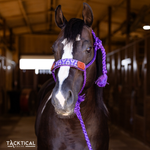 Load image into Gallery viewer, LEXIE WHIP STITCH MULE TAPE HALTER