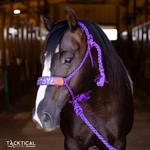 Load image into Gallery viewer, LEXIE WHIP STITCH MULE TAPE HALTER
