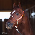 Load image into Gallery viewer, LUXE LARIAT HALTER - MOCHA
