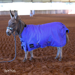 Load image into Gallery viewer, PURPLE MINI/FOAL WINTER BLANKET
