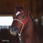 Load image into Gallery viewer, LUXE LARIAT HALTER - RED
