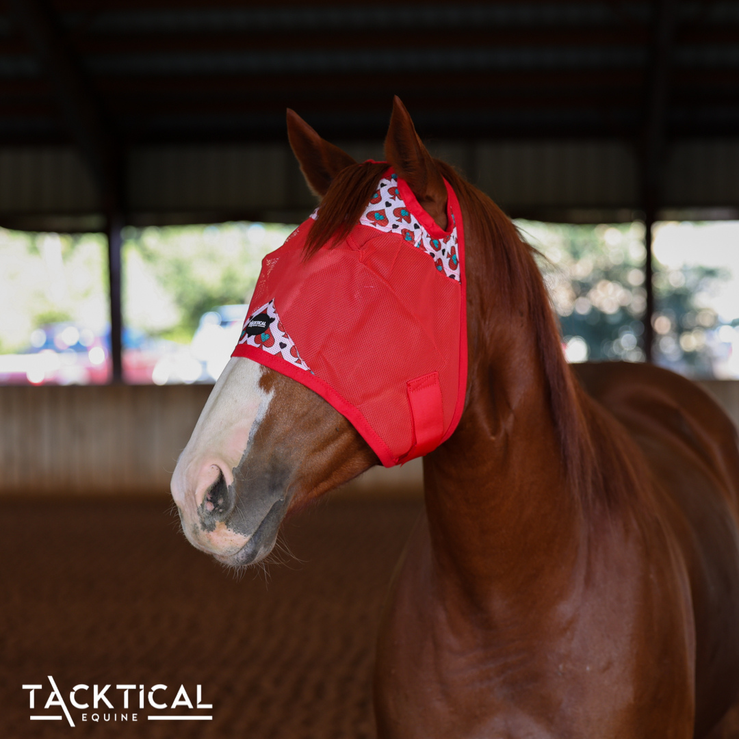 SPADES DELUXE FLY MASK