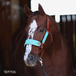Load image into Gallery viewer, LUXE BRONC NOSE HALTER - MINT

