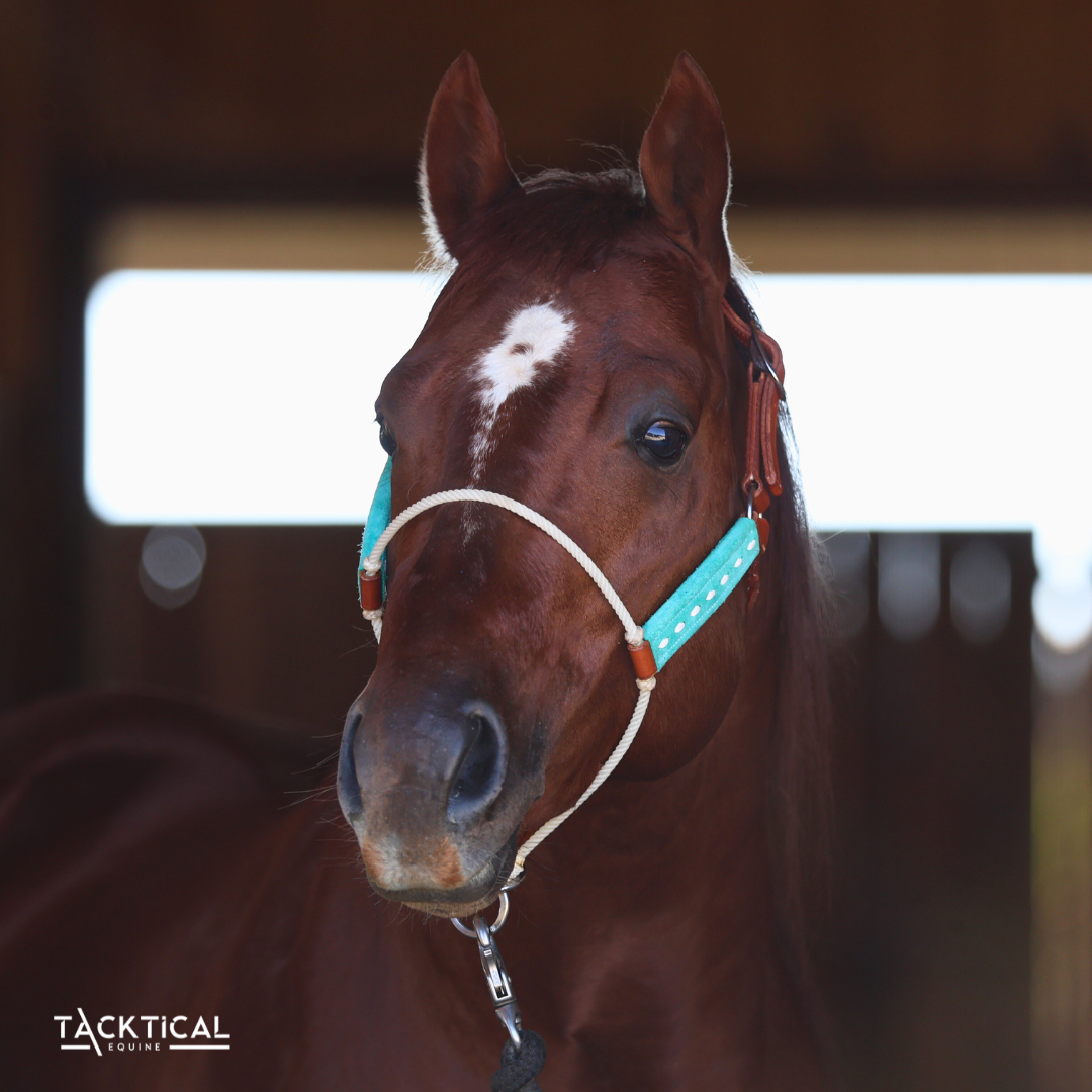 LUXE LARIAT HALTER - MINT