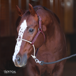 Load image into Gallery viewer, LUXE LARIAT HALTER - LEATHER
