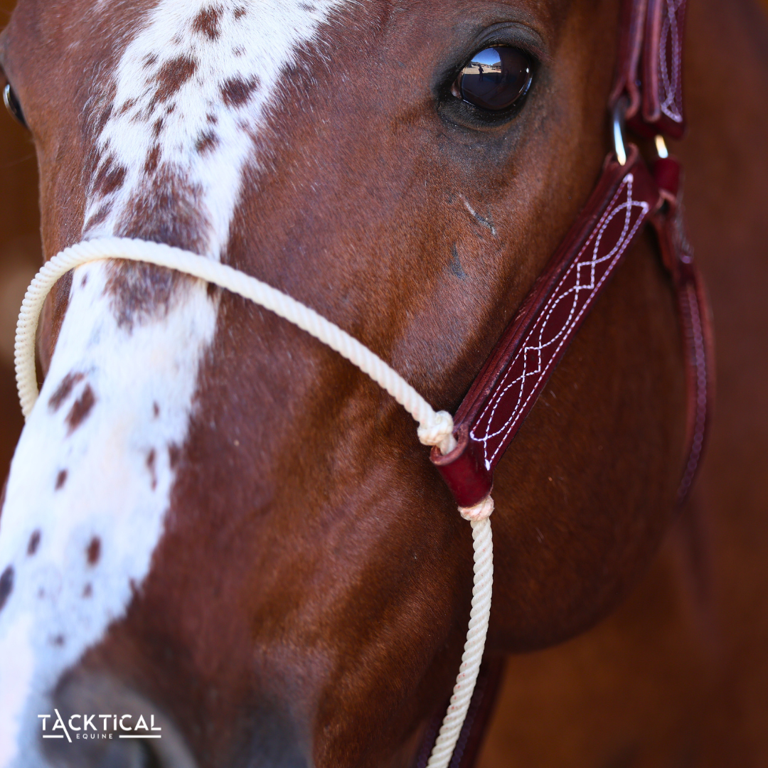 LUXE LARIAT HALTER - LEATHER