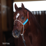 Load image into Gallery viewer, LUXE LARIAT HALTER - TURQUOISE
