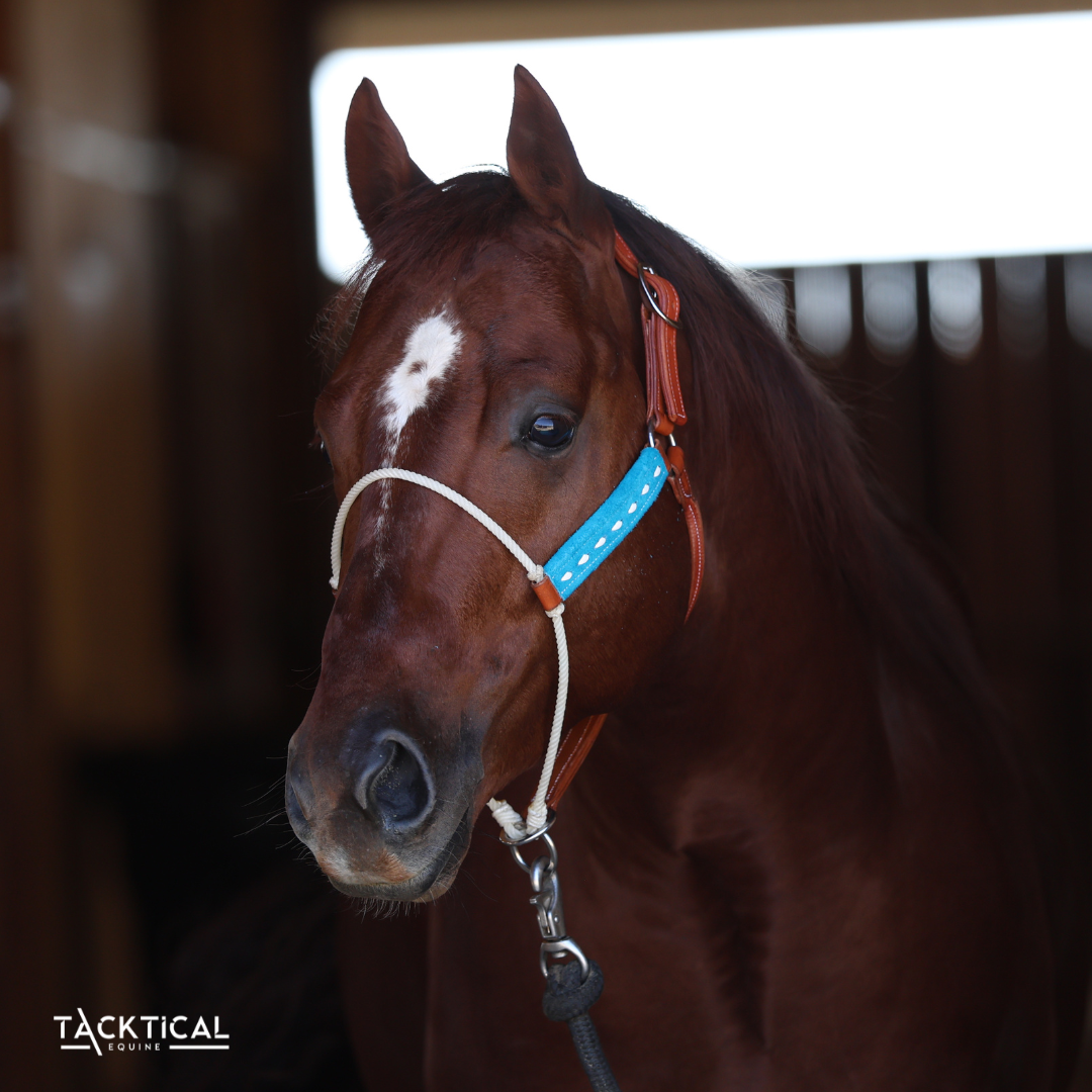 LUXE LARIAT HALTER - TURQUOISE