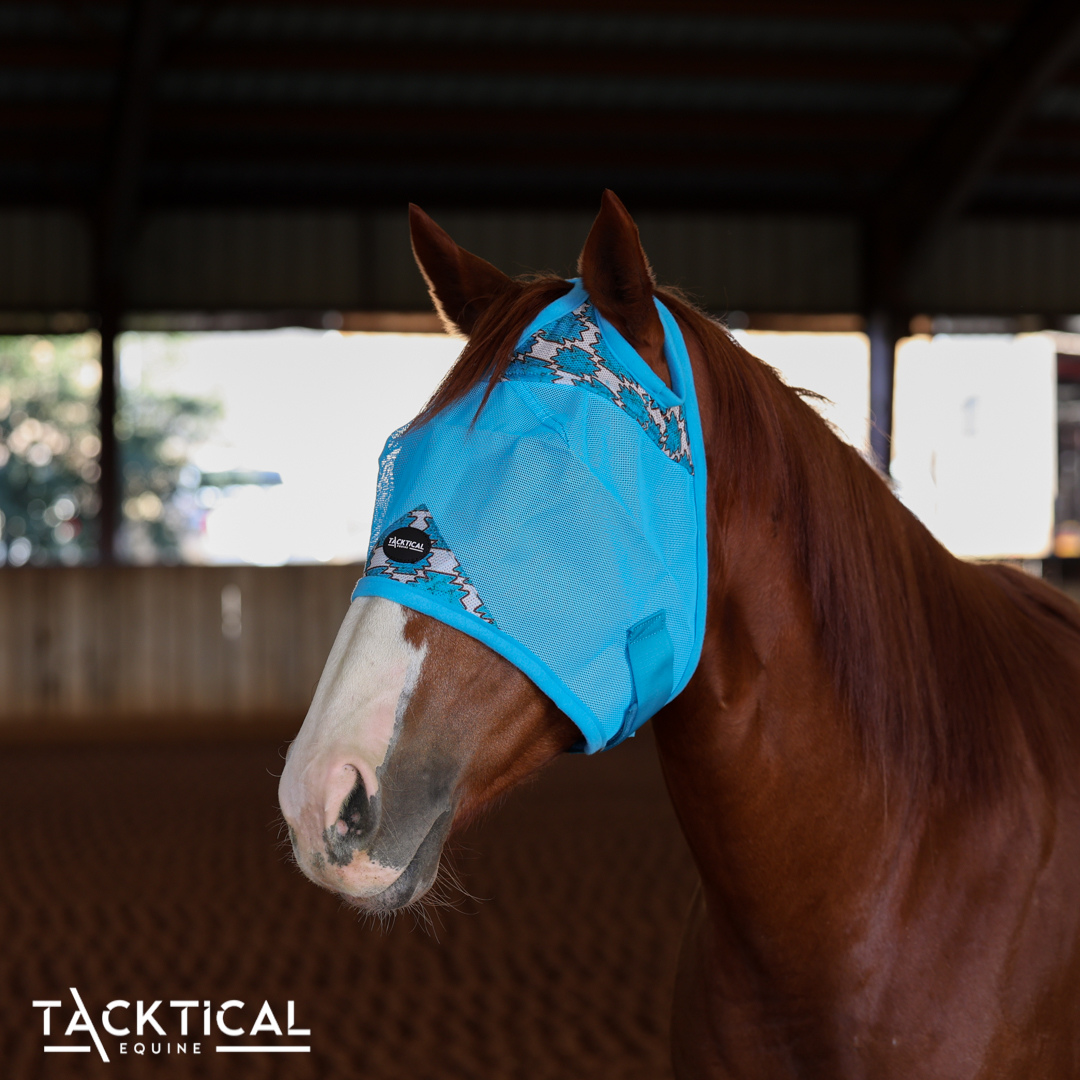 TURQUOISE HEAT DELUXE FLY MASK