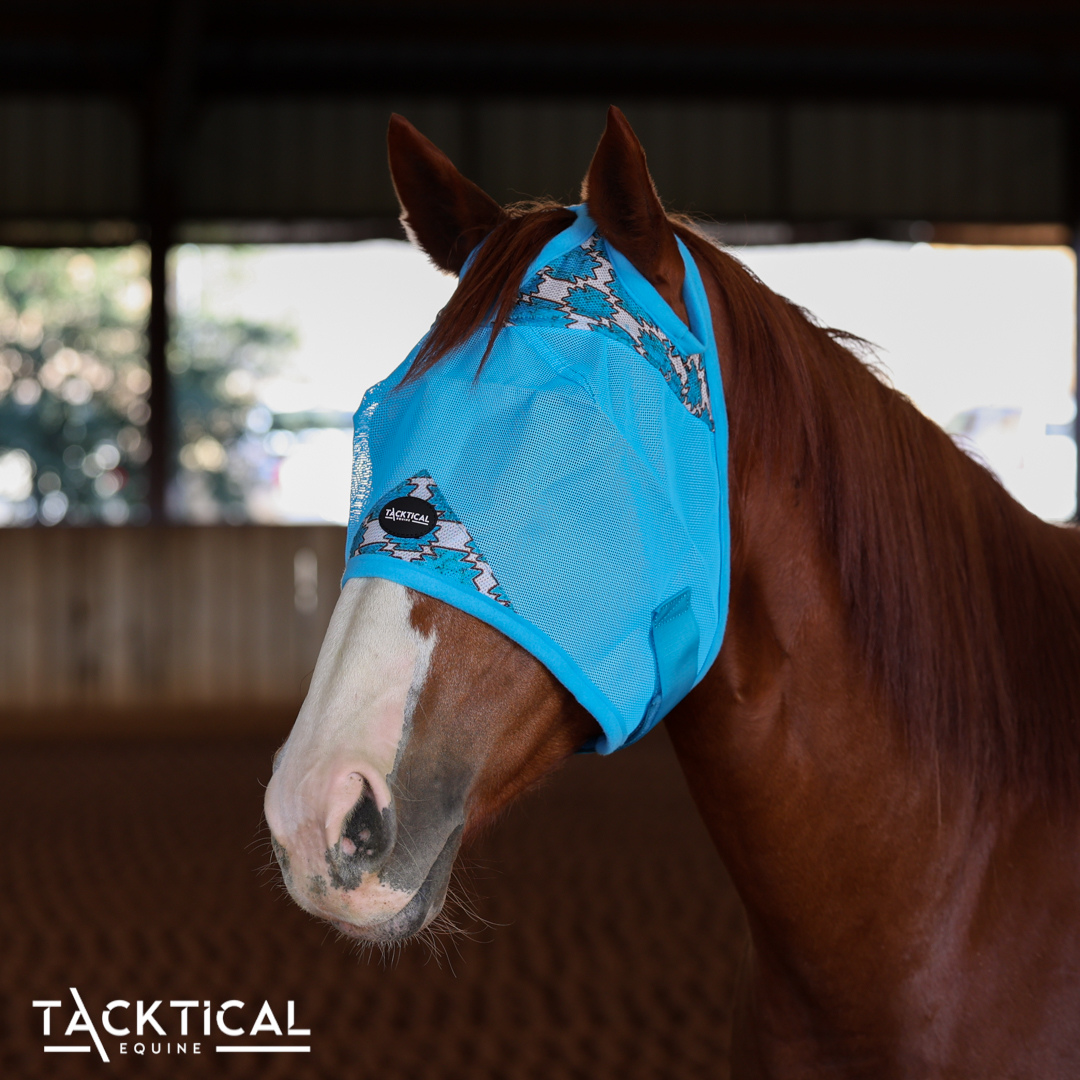 TURQUOISE HEAT DELUXE FLY MASK