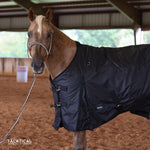 Load image into Gallery viewer, BLACK 1200D PERFECT FIT WINTER BLANKET WITH NECK
