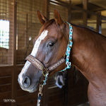 Load image into Gallery viewer, BRAYDEN TOOLED LEATHER BRONC HALTER BY TACKTICAL™
