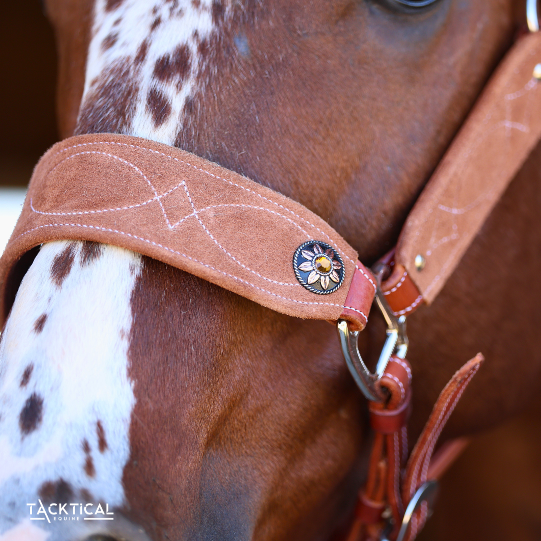 LUXE BRONC NOSE HALTER - MOCHA