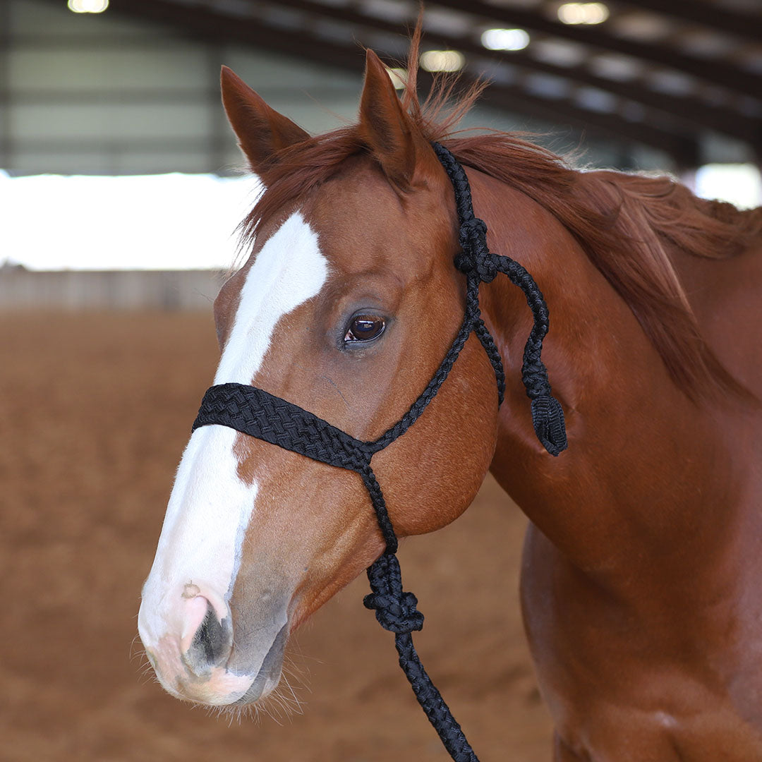 TACKTICAL MULE TAPE HALTER