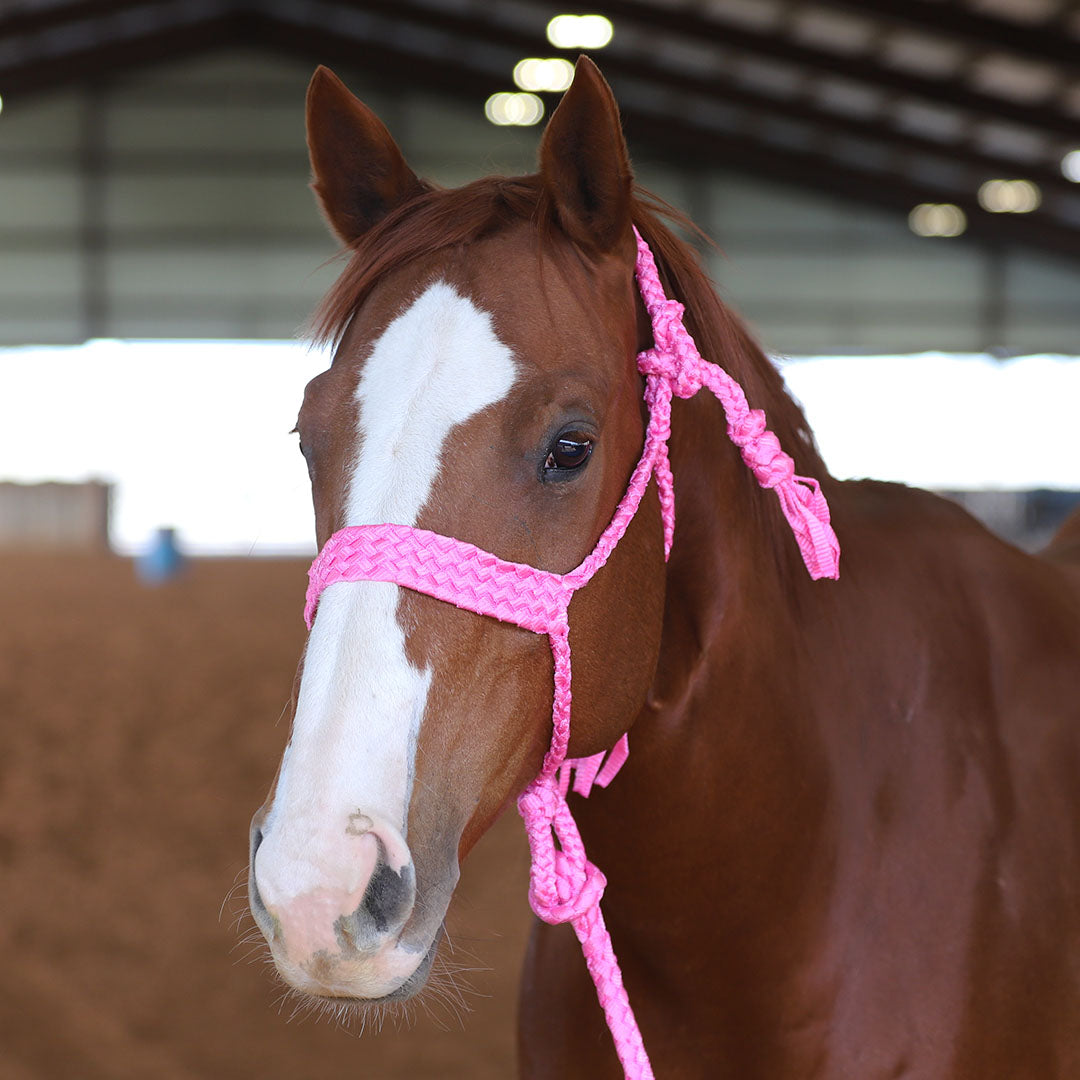 TACKTICAL MULE TAPE HALTER