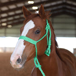 Load image into Gallery viewer, TACKTICAL MULE TAPE HALTER
