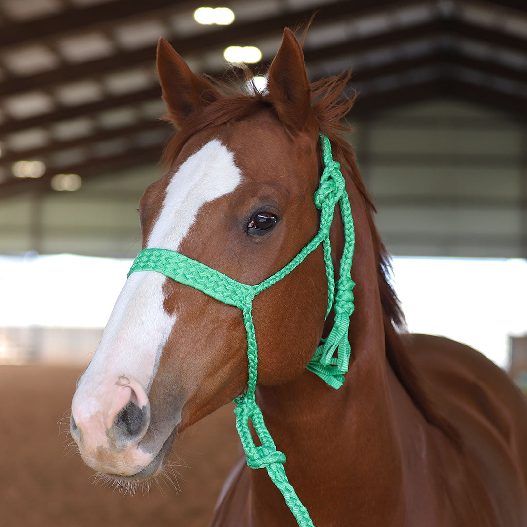 TACKTICAL MULE TAPE HALTER