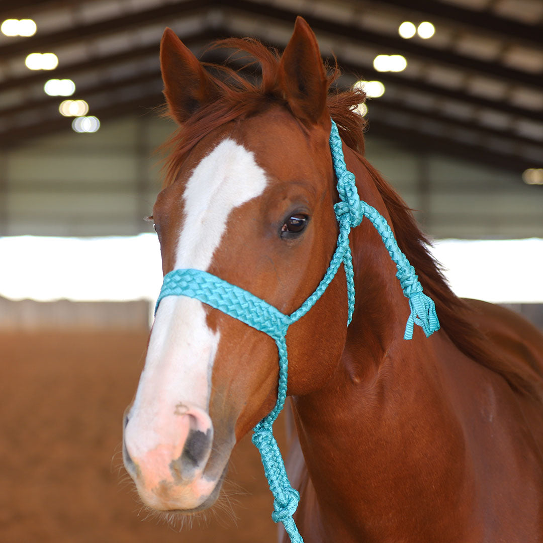 TACKTICAL MULE TAPE HALTER