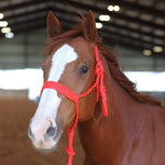 Load image into Gallery viewer, 🎁 MULE TAPE HALTER (100% off)
