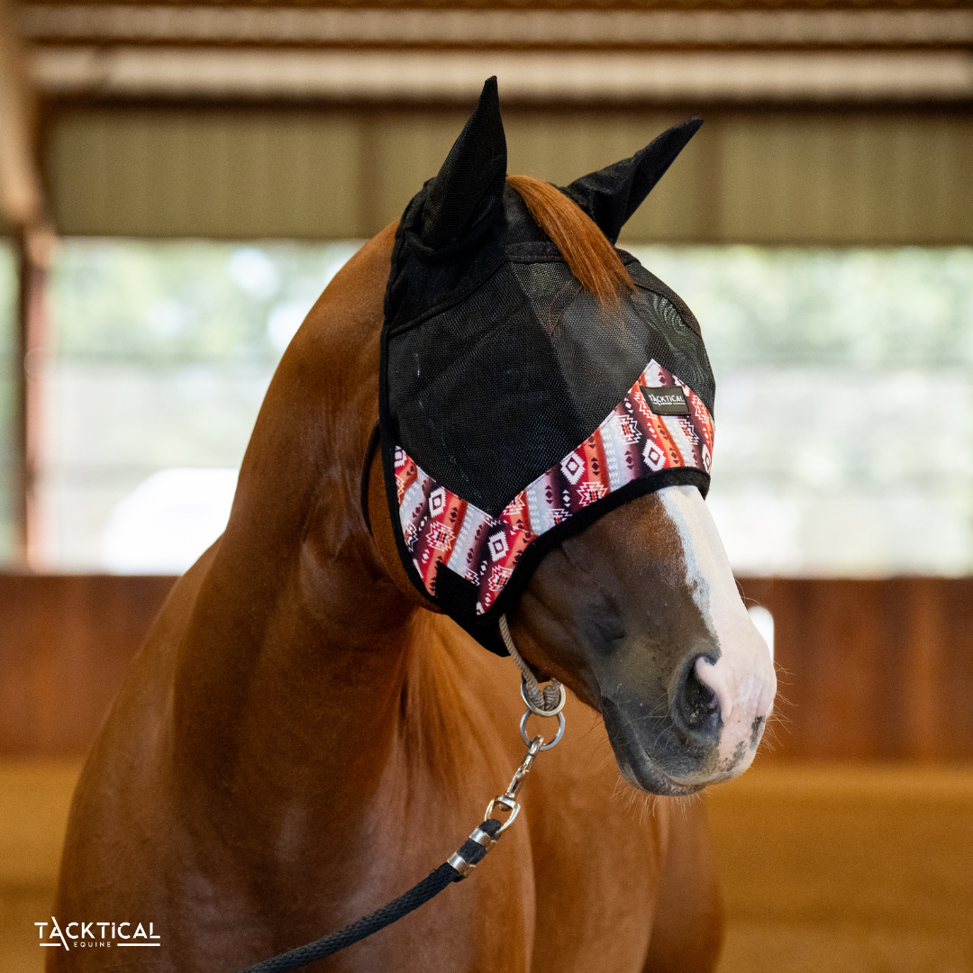 PIPER AZTEC DELUXE FLY MASK WITH EARS