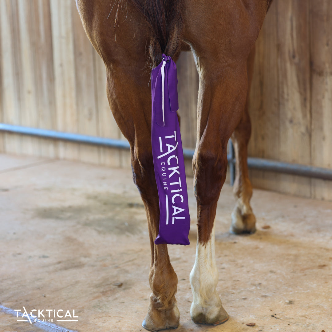 🎁 PURPLE TACKTICAL LOGO TAIL BAG (100% off)