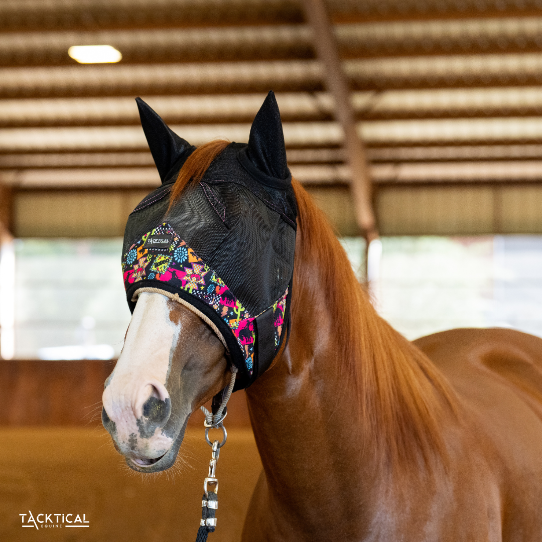 WESTERN NEON DELUXE FLY MASK WITH EARS