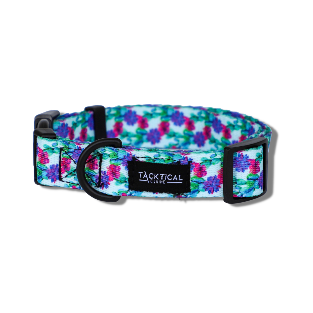 SUMMER CACTUS DOG COLLAR