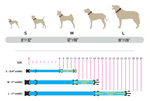 Load image into Gallery viewer, SUMMER CACTUS TACKTICAL™ DOG COLLAR
