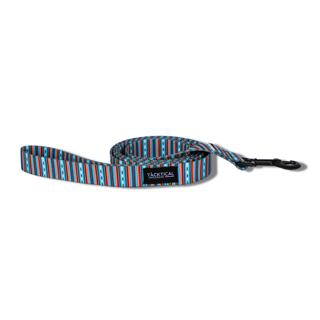 TEAL SERAPE TACKTICAL DOG LEASH